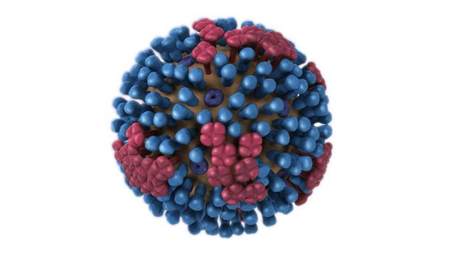 About Influenza